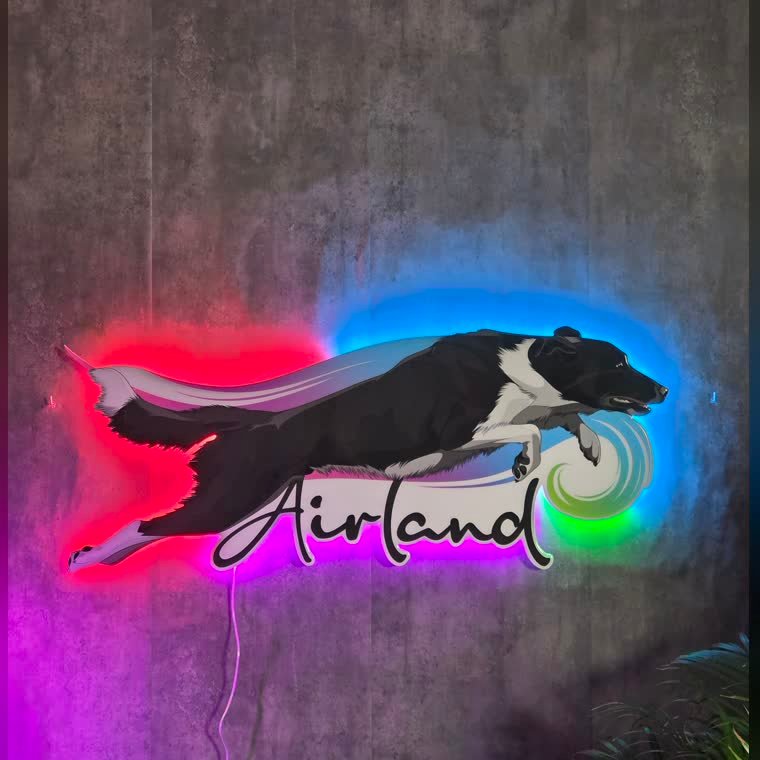 Cuadro de una mascota en resina y neon LED