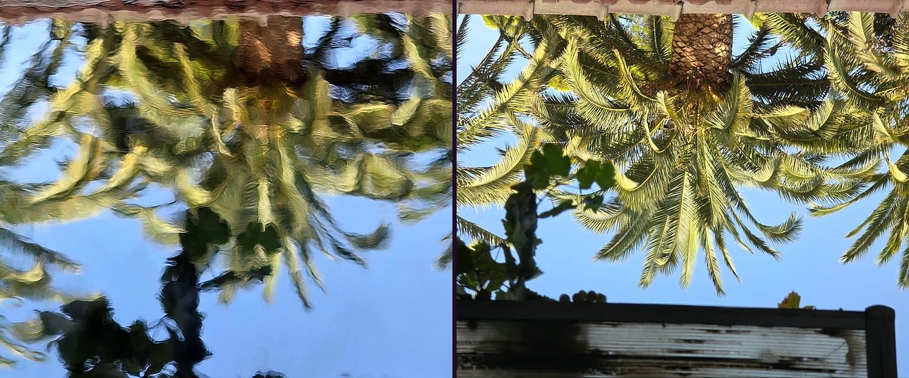 Dos piezas de resina reflejando la misma palmera: en la de la izquierda el reflejo sale ondulado por la piel de naranja, en la de la derecha se ve nítido