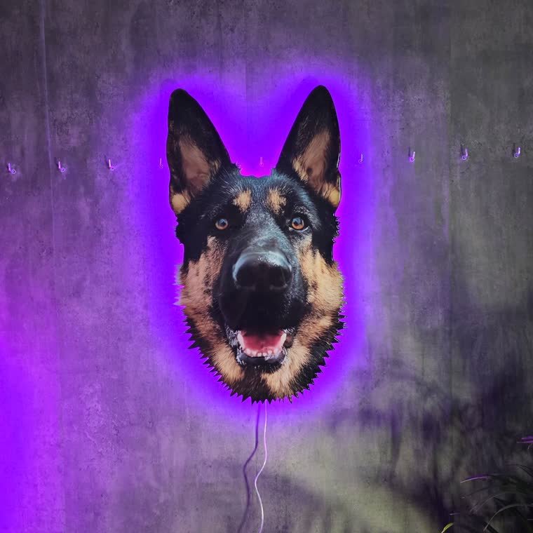 Cuadro silueta con el retrato de un perro recortado a su forma, en resina y neón LED