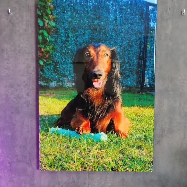 Retrato a color de perro en resina epoxi con luz LED
