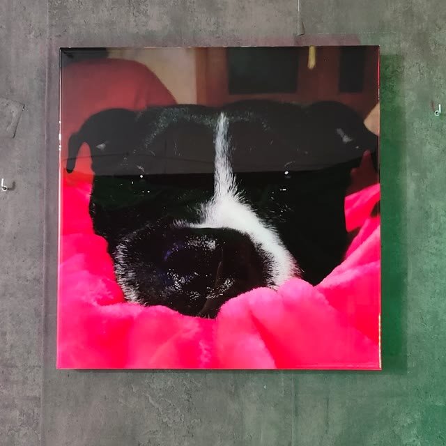 Retrato de perro personalizado en resina epoxi y luz LED