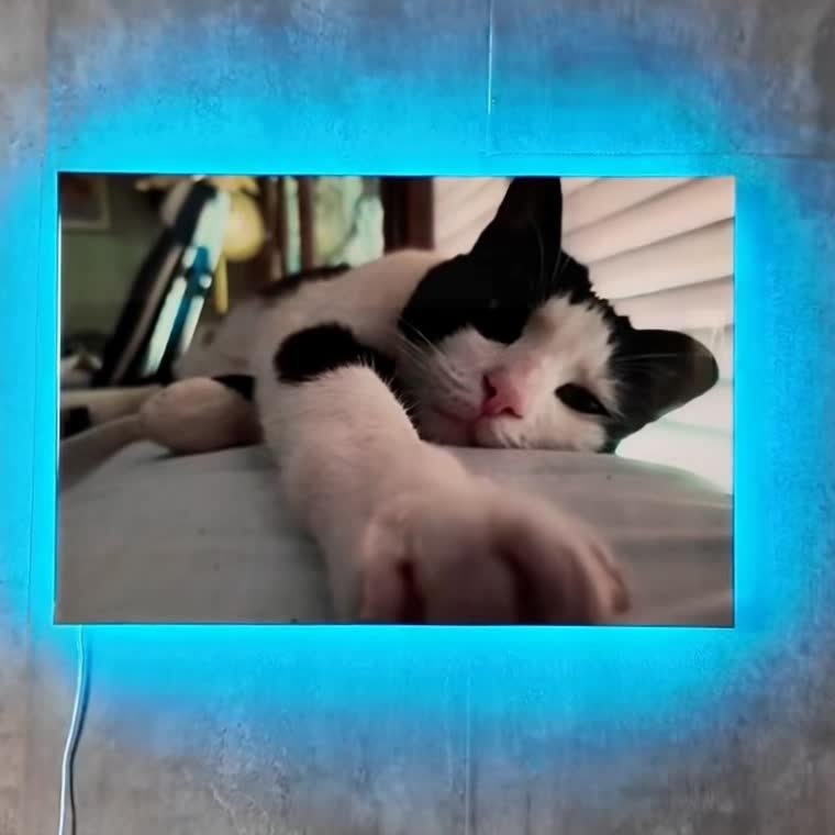 Retrato de un gato en resina epoxi con luz LED por detras