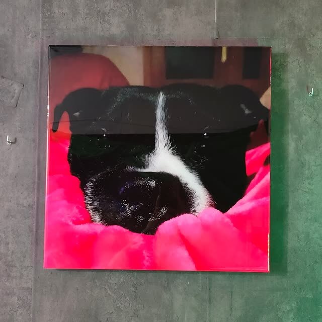 Cuadro recto con la foto de un perro durmiendo